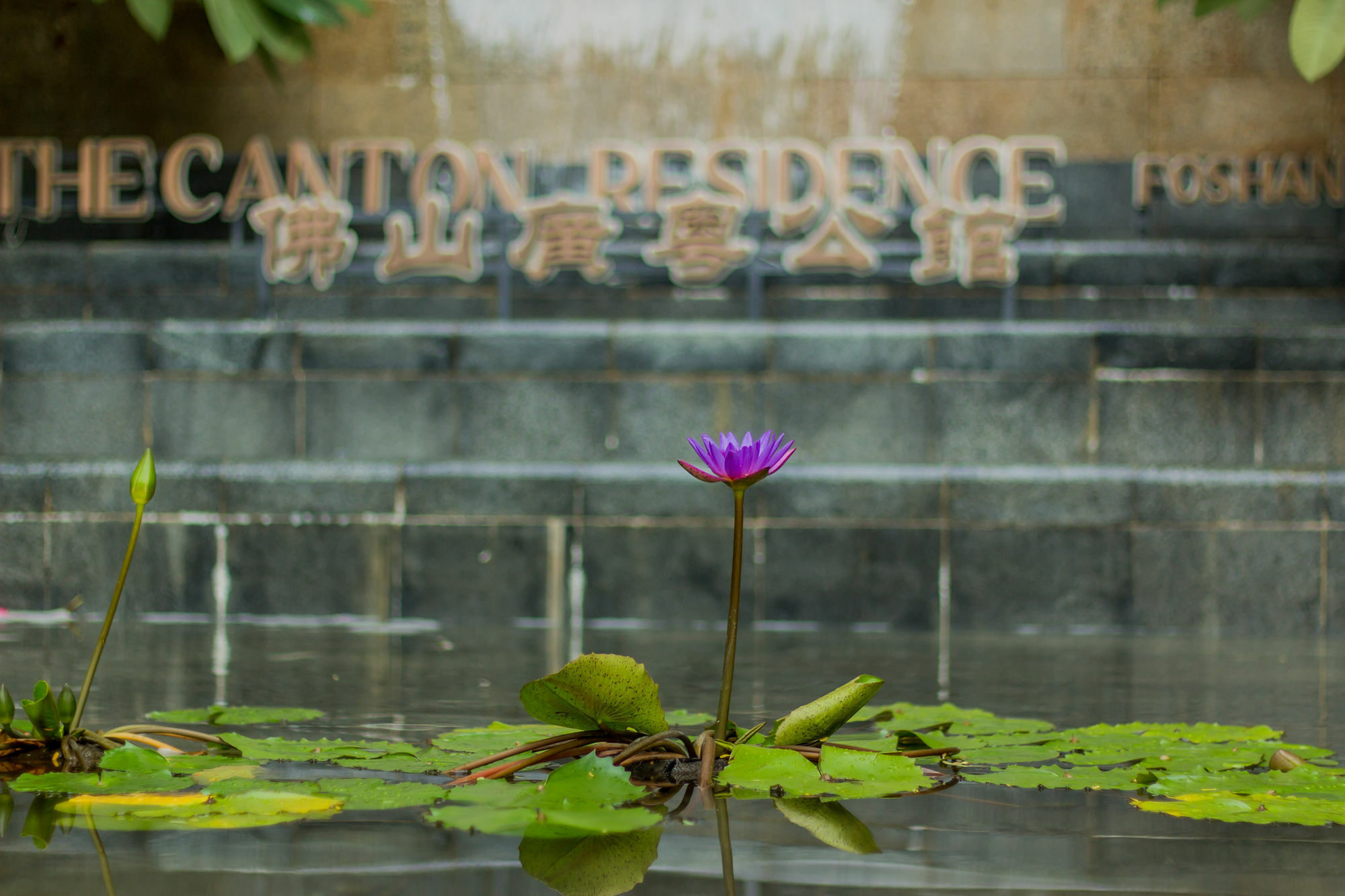 The Canton Residence Foshan Buitenkant foto
